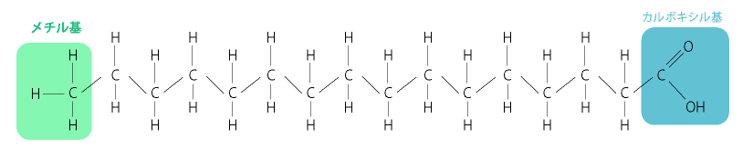 パルチミン酸の構造式