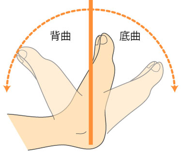 foot_joint.jpg