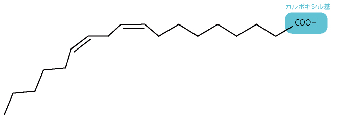リノール酸の構造式